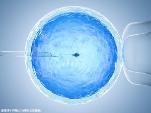 锦书生殖